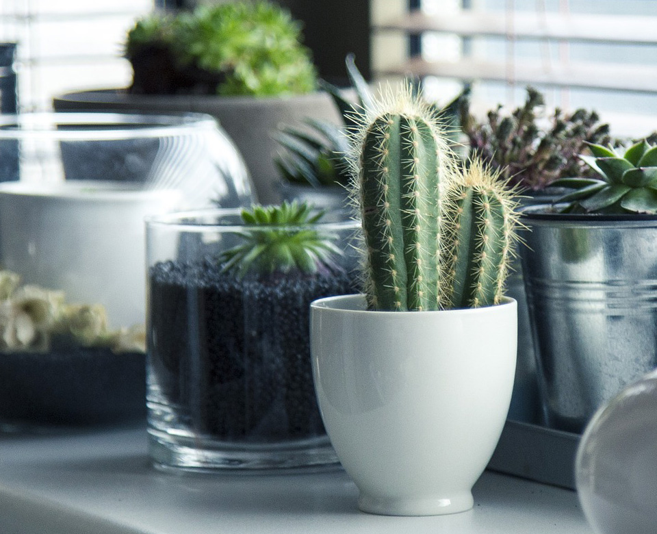 mb޹˾2017꣬һҾ߂bY|(zh)Լb㹤bľCb˾(zhun)עڞ(hu)ӢAṩЙC(j)wסլbQγɪ(d)صĺwסլbO(sh)Ӌ(j)ʩĴԠI(yng)ľa(chn)Ʒ...